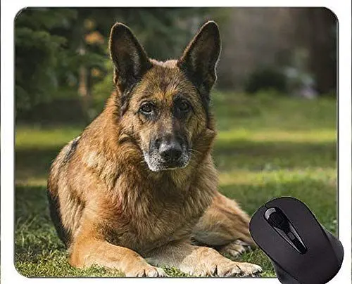 Produktbild: Australischer Schäferhund Mousepad, Schäferhund Mouse Pads