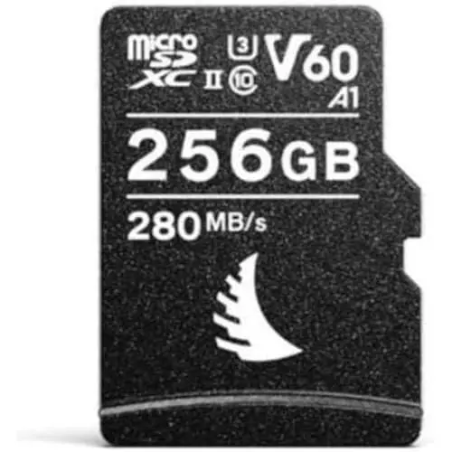 Produktbild: AV PRO microSD V60 256 GB
