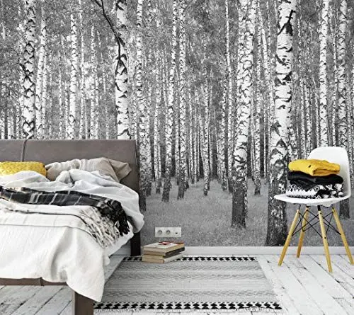 Produktbild: awallo Fototapete «Birkenwald» in Grau, Schwarz, Weiß | Vliestapete 336x260cm | XXL Bild-Tapete Wand-Bild Digitaldruck