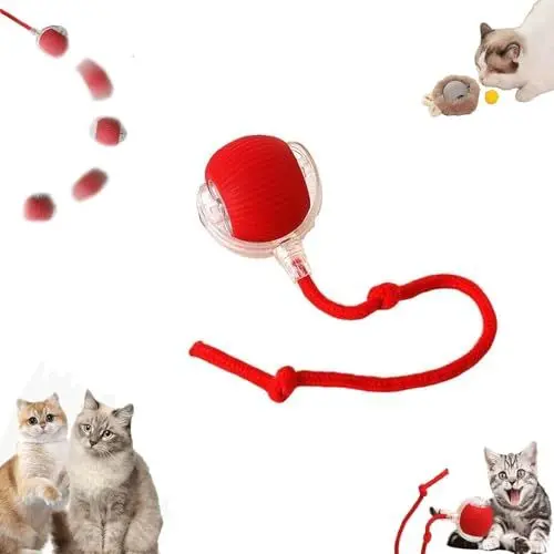 Produktbild: Awoyep Interaktives Katzenspielzeug Katzenball Elektrisch Spielball: Katzenspielzeug Selbstbeschäftigung 360° Rolling Smart Ball Spielzeug Katzen Hunde mit USB Aufladbar(Red,A)