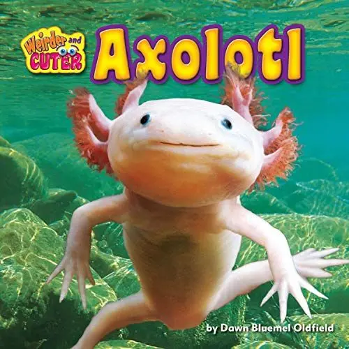 Produktbild: Axolotl