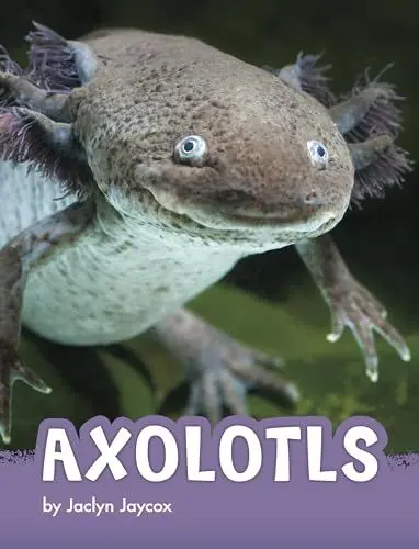 Produktbild: Axolotls (Animals)