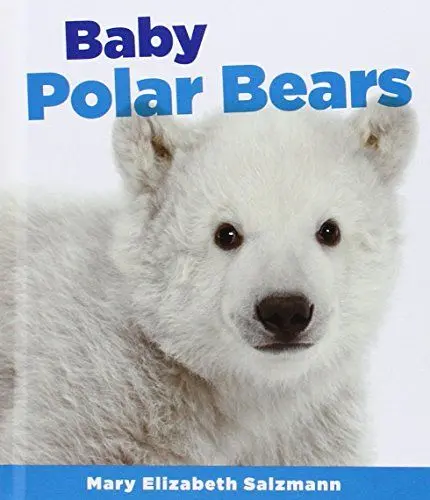 Produktbild: Baby Polar Bears (Baby Animals)