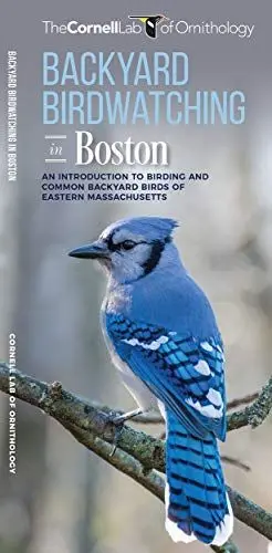 Produktbild: Backyard Birdwatching in Boston: An Introduction to Birding and Common Backyard Birds of Eastern Massachusetts (All about Birds Pocket Guide)