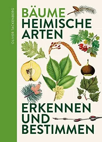 Produktbild: Bäume: Heimische Baumarten erkennen & bestimmen