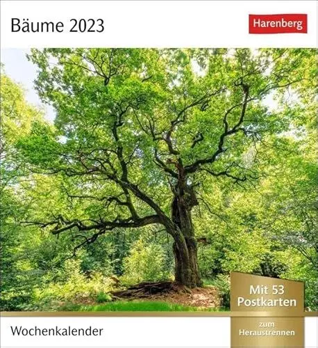 Produktbild: Bäume Postkartenkalender 2023. Fotokalender mit 53 Postkarten zum Sammeln und Verschicken. Dekorative Baum-Aufnahmen von bekannten Fotografen. Kleiner ... 2023.: Wochenkalender mit 53 Postkarten