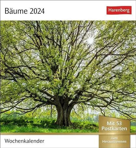 Produktbild: Bäume Postkartenkalender 2024. Fotokalender mit 53 Postkarten zum Sammeln und Verschicken. Dekorative Baum-Aufnahmen von bekannten Fotografen. ... 2024: Wochenkalender mit 53 Postkarten