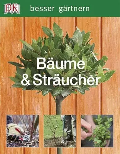 Produktbild: Bäume & Sträucher (Besser gärtnern)