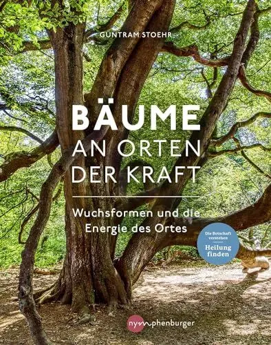 Produktbild: Bäume an Orten der Kraft: Wuchsformen und die Energie des Ortes