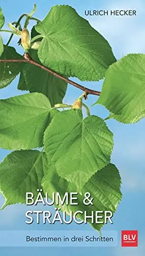 Produktbild: Bäume und Sträucher: Bestimmen in drei Schritten (BLV Bäume & Pflanzen)