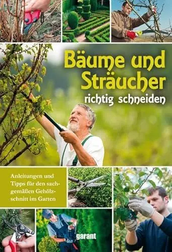 Produktbild: Bäume und Sträucher richtig schneiden: Anleitungen und Tipps für den sachgemäßen Gehölzschnitt im Garten