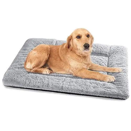Produktbild: Baodan Hundebett Mittelgroße Kleine Hunde, Hundekissen Waschbar für kleine mittelgroße Hunde, Dog Bed - 75x50 cm Superweich Katzenbett mit Rutschfester Unterseite - Grau