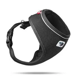 Produktbild: Basic Harness Air-Mesh Black XL