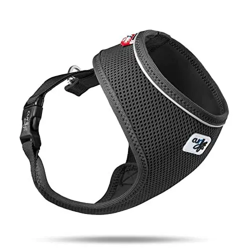 Produktbild: Basic Harness Air-Mesh Black XL
