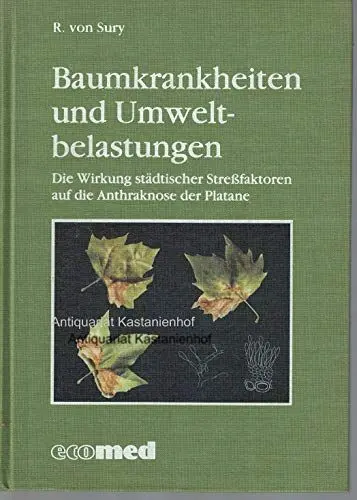 Produktbild: Baumkrankheiten und Umweltbelastungen: Die Wirkung städtischer Stressfaktoren auf die Anthraknose der Platane: Die Wirkung städtischer Streßfaktoren ... der Platane (Angewandter Umweltschutz)