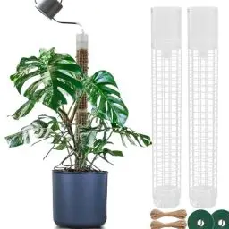 Produktbild: BDHHFAM Selbstbewässerung moosstab - 2 x 44cm ausziehbare Pflanzenstützen für Zimmerpflanzen - 80 cm Kunststoff-Moosstab für das Training von Pflanzen, die nach Oben Klettern-Verwendung mit Moospolst