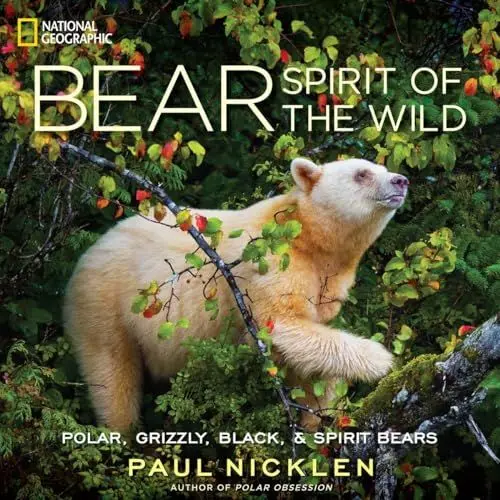 Produktbild: Bear: Spirit of the Wild