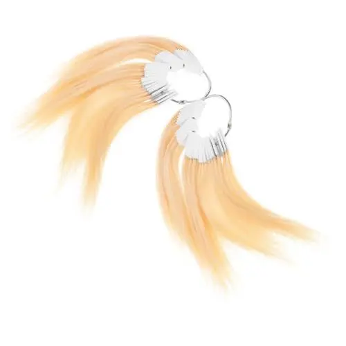 Produktbild: Beaupretty 2 Sets Echthaar-Farbtests Farbmusterringe Haarfarbringe Für Echthaarverlängerungen Und Salon-Friseur-Haarfärbeproben