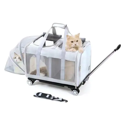 Produktbild: BEAUTYMONKEY.K Katzen Transporttasche für 2 Tiere mit Rollen Abnehmbarem Untergestell – 2-Kammer-Design Transportbox Trolley Groß für Zwei Katzen mit Räder – Ideal für Tierarzt, Autoreisen(55x44x33cm)