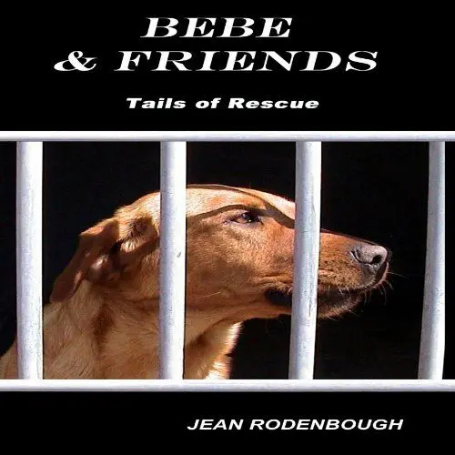 Produktbild: Bebe & Friends: Tails of Rescue