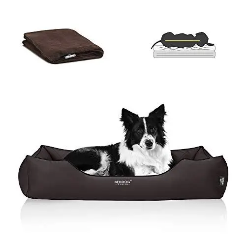Produktbild: BedDog Premium Orthopädisches Hundebett Buffy, Hundesofa aus Kunstleder, Abnehmbarer Bezug, Kuschel-Decke Zugabe - Chocolate (braun)