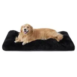 Produktbild: BEDSURE Flauschiges Hundebett Grosse Hunde - 121x76x8 cm Hundebett waschbar für große Hunde, rutschfeste Unterseite, plüsch Hundekissen Grosse Hunde, Schwarz