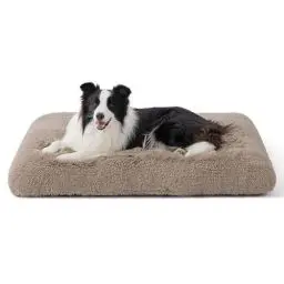 Produktbild: BEDSURE Flauschiges Hundebett Grosse Hunde - 89x58x8 cm Hundebett waschbar für große Hunde, rutschfeste Unterseite, plüsch Hundekissen Grosse Hunde, Kamel