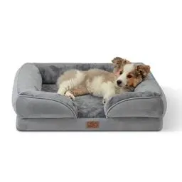 Produktbild: BEDSURE orthopädisches Hundebett Ergonomisches Hundesofa - 71x58 cm Hundecouch mit eierförmiger Kistenschaum für kleine Hunde, waschbar rutschfest Hundebetten, grau