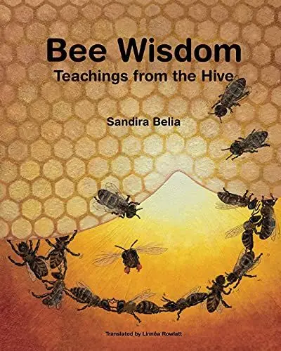 Produktbild: Bee Wisdom - Teachings from the Hive