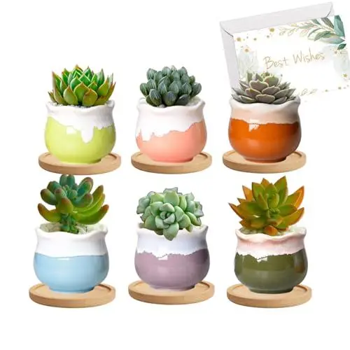 Produktbild: BeGrit 6 Stück Kleiner Blumentopf Keramik Sukkulenten Töpfe 7.5cm Sukkulenten Topf Kakteen Pflanze Töpfe mit Untersetzer