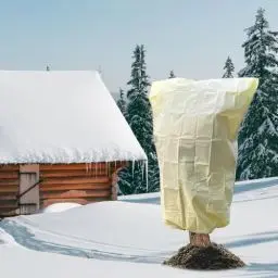 Produktbild: BeGrit Pflanzen Winterschutz 180 * 120cm Pflanzenschutz Winterschutz für Kübelpflanzen mit Reißverschluss Zugband Frostschutz Wiederverwendbar Kübelpflanzensack für außen draußen Olivenbaum Palmen