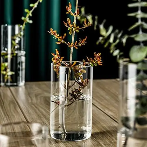 Produktbild: Belupai Zylindervasen aus Glas für Tafelaufsätze, 12/8/6 Zoll Hohe Blumenvasen aus Klarem Glas, Hydrokultur-Blumentopf, Glaskerzenhalter für Stumpen- oder Schwimmkerzen für Abendessen(8,5 x 20 cm)