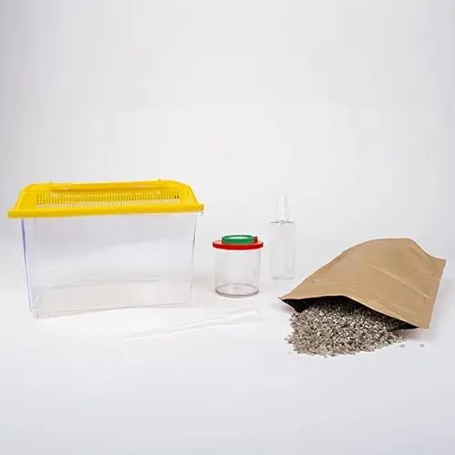 Produktbild: Beobachtungs-Set Schnecken, 5-TLG.