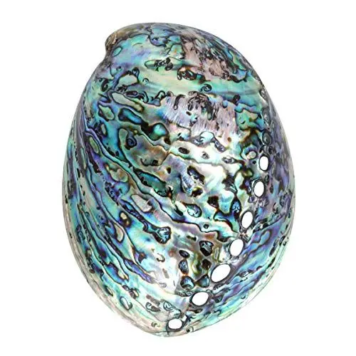 Produktbild: BESPORTBLE 10-12Cm Große Abalone-Schale Weihrauchbrenner Tablett Schmuck Aufbewahrungsschale Tisch Dekorative Verzierung für Home-Office-
