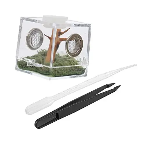 Produktbild: BESPORTBLE 1 Satz Springspinnen-zuchtbox Acryltank Reptilien Zuchtkäfig Für Haustiere Insektenfall Heimtierbedarf Springspinnen-Terrarium Tarantel Springende Spinne Spinnengehege Transparent