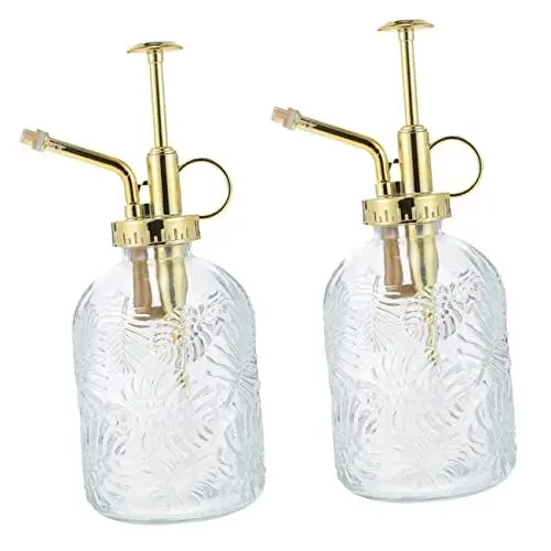 Produktbild: BESPORTBLE 2St Gießkanne Astetische Raumdekoration Sprühflaschen für Pflanzen antikes Dekor giesskanne Zimmerpflanzen pottd Anlage Dauersprühflasche Bewässerungsflasche drinnen Glas Sprit