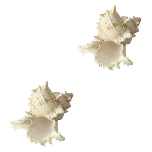 Produktbild: BESPORTBLE 2 Stück Natürliche Muscheln Für Aquarien Muscheldekoration Adornos para Mesa De Nautische Miniatur-Aquarium-Dekoration Miniatur-Ornamente Aquarium-Dekoration Betta-Zubehör