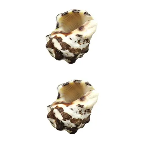 Produktbild: BESPORTBLE 2stücke Conch Aquarium Ornament Kreative Dekoration Für Fischteiche Accessoire Für Aquarien Natürliche Für Zuhause Und Büro
