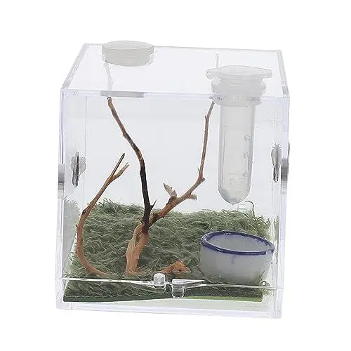 Produktbild: BESPORTBLE 3 Sätze Springspinnen-Zuchtbox Spinnentropfer reptichip Gehege für Stabheuschrecken Minizaun insektenhäuser Mini Terrarium Mini-Luftbefeuchter Tier Insektenhaus Spinnenkäfig Acryl