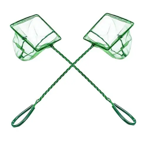 Produktbild: BESPORTBLE 4 Sätze Fischtank Fischernetz Angeln Landung Liefert Angelzubehör Fischnetz Für Aquarien Fischnetz Aquarium Fischnetz Aquariumnetz Fischnetz Klein Green Plastik 2 Stück * 4