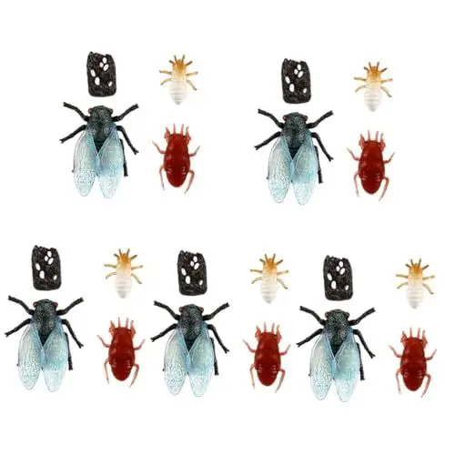 Produktbild: BESPORTBLE 5 Sets Wissenschaft Und Bildung Kognitives Spielzeug Insektenwachstumszyklus Modelle Sammlung Spielset Zikade Figur Zikade Lebenszyklus Figuren Lebenszyklus Figuren Zikade