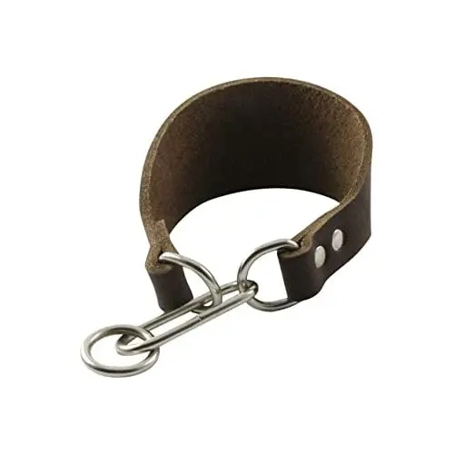 Produktbild: BESPORTBLE Hundehalsband Aus Rindsleder Breite Passform Für Dünne Hälse Modisches Haustier-Accessoire Aus Leder Kaffeebraun