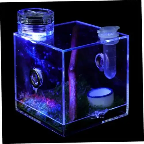Produktbild: BESPORTBLE Kasten Springspinnen-zuchtbox Gehege Spinnenlandschaftskäfig Springende Spinne Träger Großes Terrarium Tarantel Reptil Vivarienbecken Spinnenlebensraumhalter Gehäuse Tank Holz
