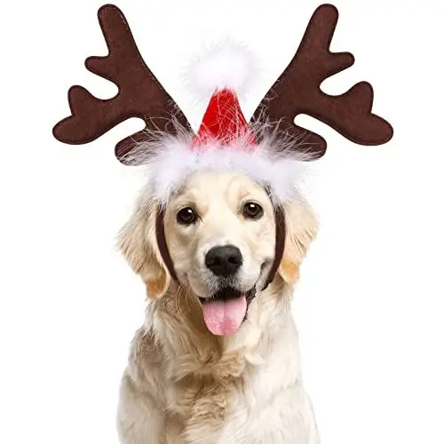 Produktbild: BESTOYARD Haustier Stirnband Weihnachten Rentier Geweih Stirnband mit Weihnachtsmütze Weihnachtskostüm für Haustier Hund Katze