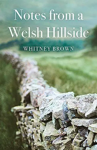 Produktbild: Between Stone and Sky: Memoirs of a Waller