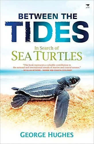 Produktbild: Between the Tides: In search of sea turtles
