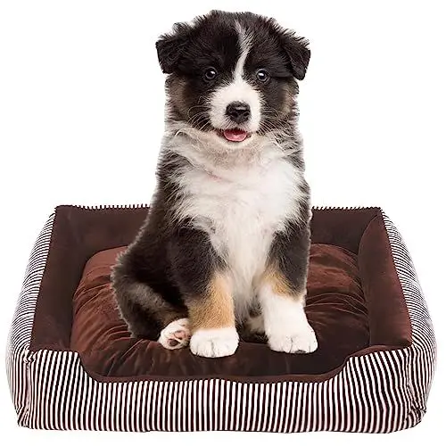 Produktbild: Bibykivn Hundebett Mittelgroße Hunde, rutschfest Waschbar Orthopädisches Hundebett, Hundebett Erhöhte Ränder, Ergonomisches Hundesofa mit Wendekissen für Kleine Mittlere Hunde (70 * 52cm, Braun)