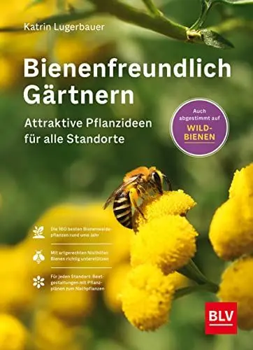 Produktbild: Bienenfreundlich Gärtnern: Attraktive Pflanzideen für alle Standorte und Beetgrößen ((Button:)) Auch für Wildbienen (BLV Gartenpraxis)