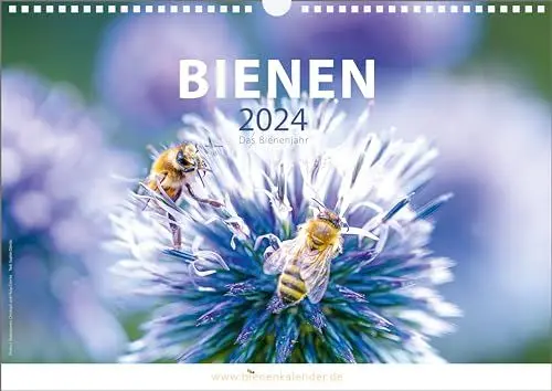 Produktbild: Bienen-Kalender 2025 - Das Bienenjahr – Mit Blumensamen – Wand-Kalender A3 (42 cm x 29,7 cm)