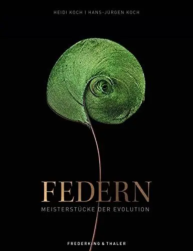 Produktbild: Federn: Meisterstücke der Evolution
